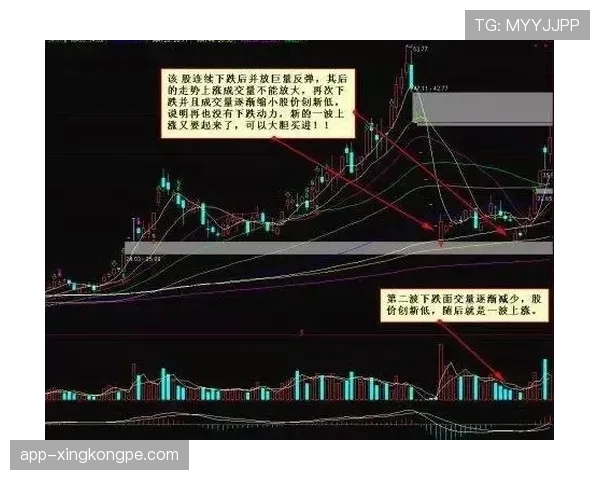 布鲁诺·费尔南德斯是数据刷子吗？关键表现与战术价值深度解析